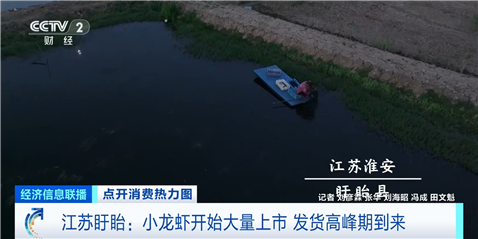 万达策略 夏季“顶流美食”大量上市 已帮你提前问好价！