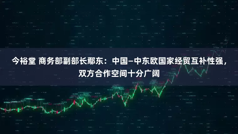 今裕堂 商务部副部长鄢东：中国—中东欧国家经贸互补性强，双方合作空间十分广阔