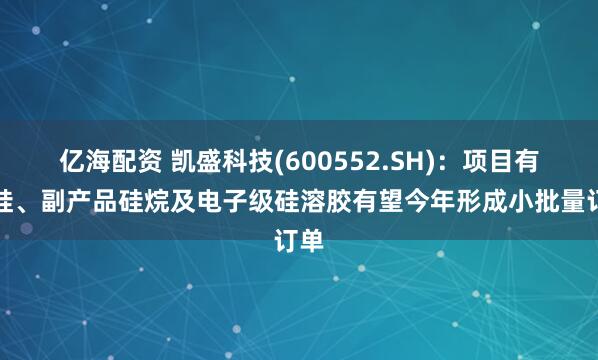 亿海配资 凯盛科技(600552.SH)：项目有机硅、副产品硅烷及电子级硅溶胶有望今年形成小批量订单