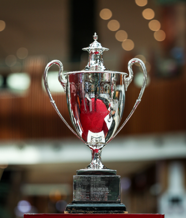 通配资 祝贺！王楚钦4-1胜雨果登顶多哈世乒赛，生涯首夺三大赛男单冠军