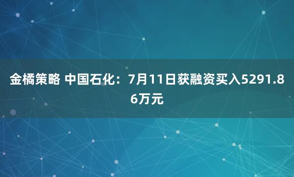 金橘策略 中国石化：7月11日获融资买入5291.86万元