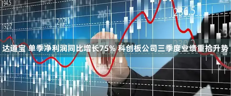 达道宝 单季净利润同比增长75% 科创板公司三季度业绩重拾升势