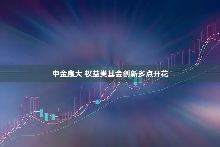 中金宸大 权益类基金创新多点开花